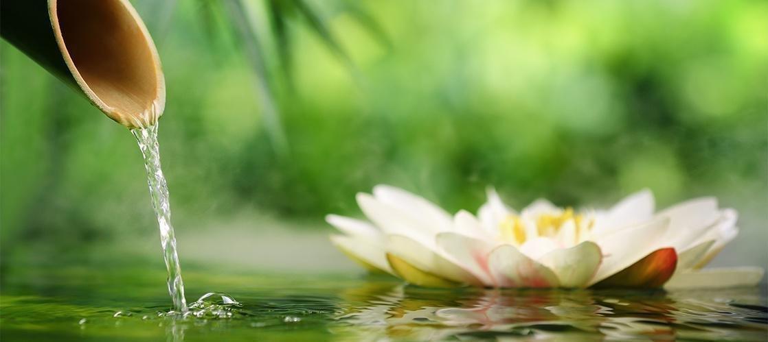 WUWEI YOUR FINANCES - THE LIFESHERPA PHILOSOPHY