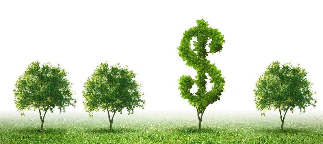 SHOULD I PAY STUDENT CONTRIBUTIONS OR USE HECS - PART 3